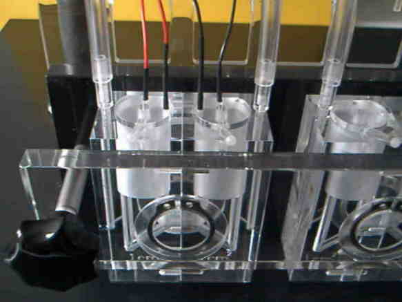 Ussing Chamber in Base System without Heatchanger (used for experiments with cold water fish)